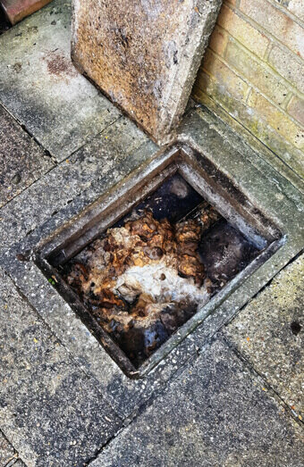 https://plumbervictoriapark.com.au/uploads/2025/06/blocked-drains-465055.jpg