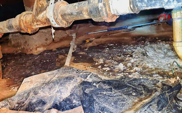 https://plumbervictoriapark.com.au/uploads/2025/06/plumbing-73706.jpg